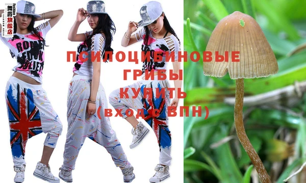кокс Баксан