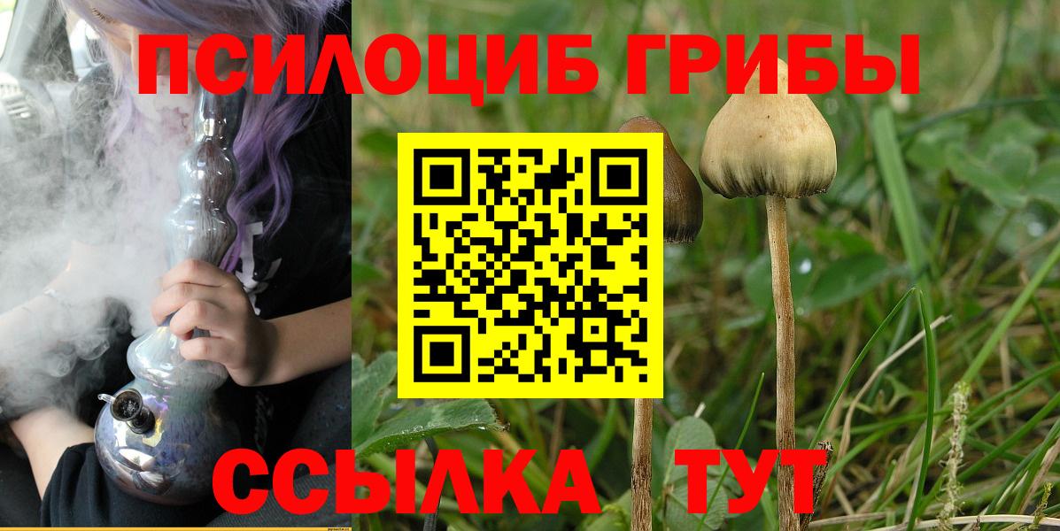 Кувандык  Псилоцибиновые грибы Psilocybine cubensis  Вход с VPN 
